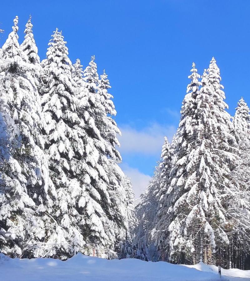 Ferienwohnung Vogelnest im Schwarzwald Baiersbronn Exterior foto
