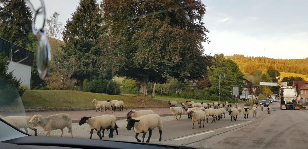 Ferienwohnung Vogelnest im Schwarzwald Baiersbronn Exterior foto