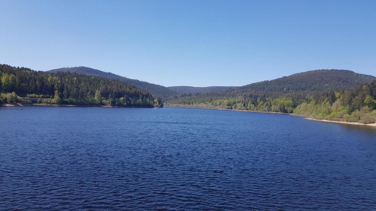 Ferienwohnung Vogelnest im Schwarzwald Baiersbronn Exterior foto