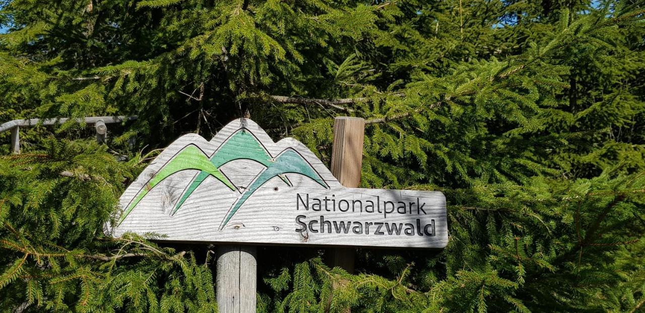 Ferienwohnung Vogelnest im Schwarzwald Baiersbronn Exterior foto