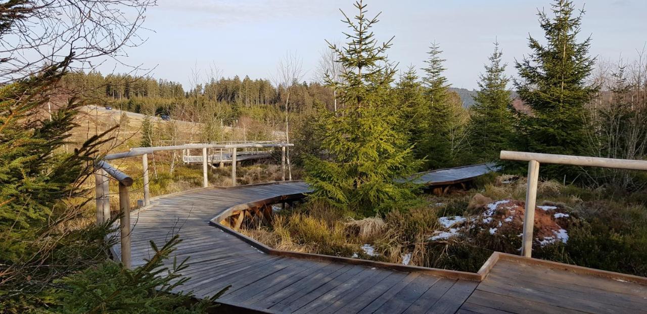 Ferienwohnung Vogelnest im Schwarzwald Baiersbronn Exterior foto