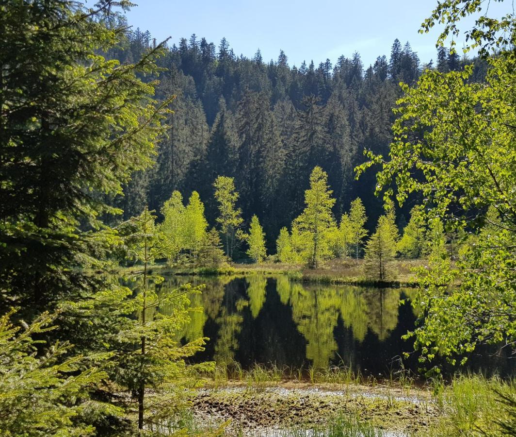 Ferienwohnung Vogelnest im Schwarzwald Baiersbronn Exterior foto