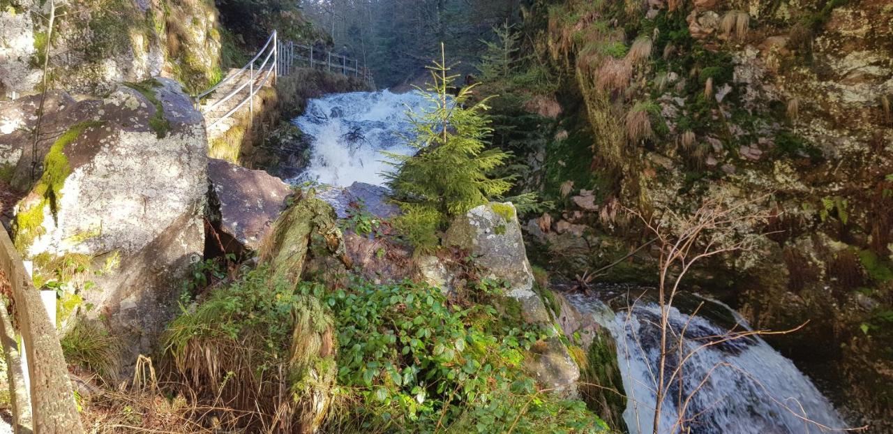 Ferienwohnung Vogelnest im Schwarzwald Baiersbronn Exterior foto