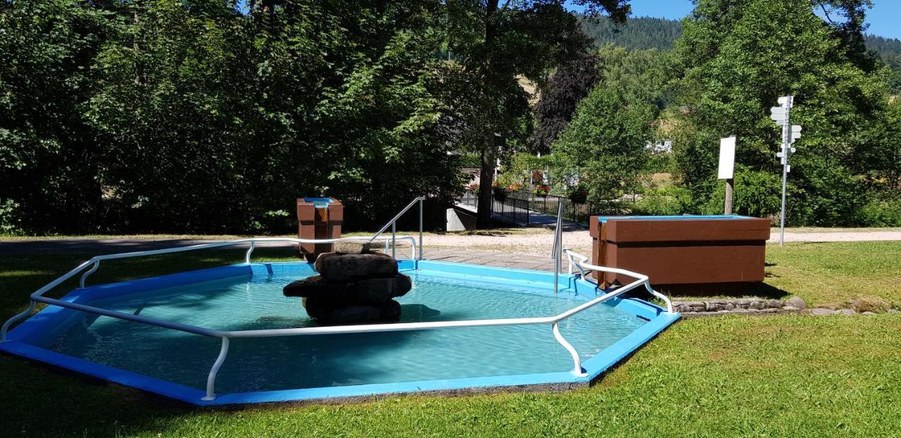 Ferienwohnung Vogelnest im Schwarzwald Baiersbronn Exterior foto