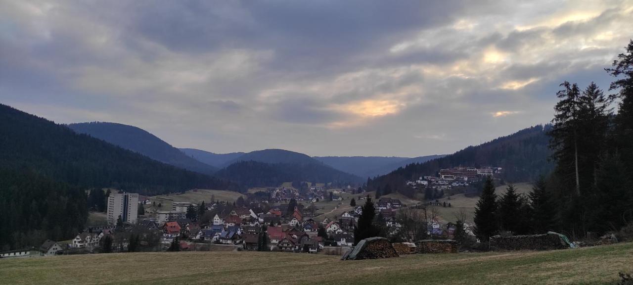 Ferienwohnung Vogelnest im Schwarzwald Baiersbronn Exterior foto