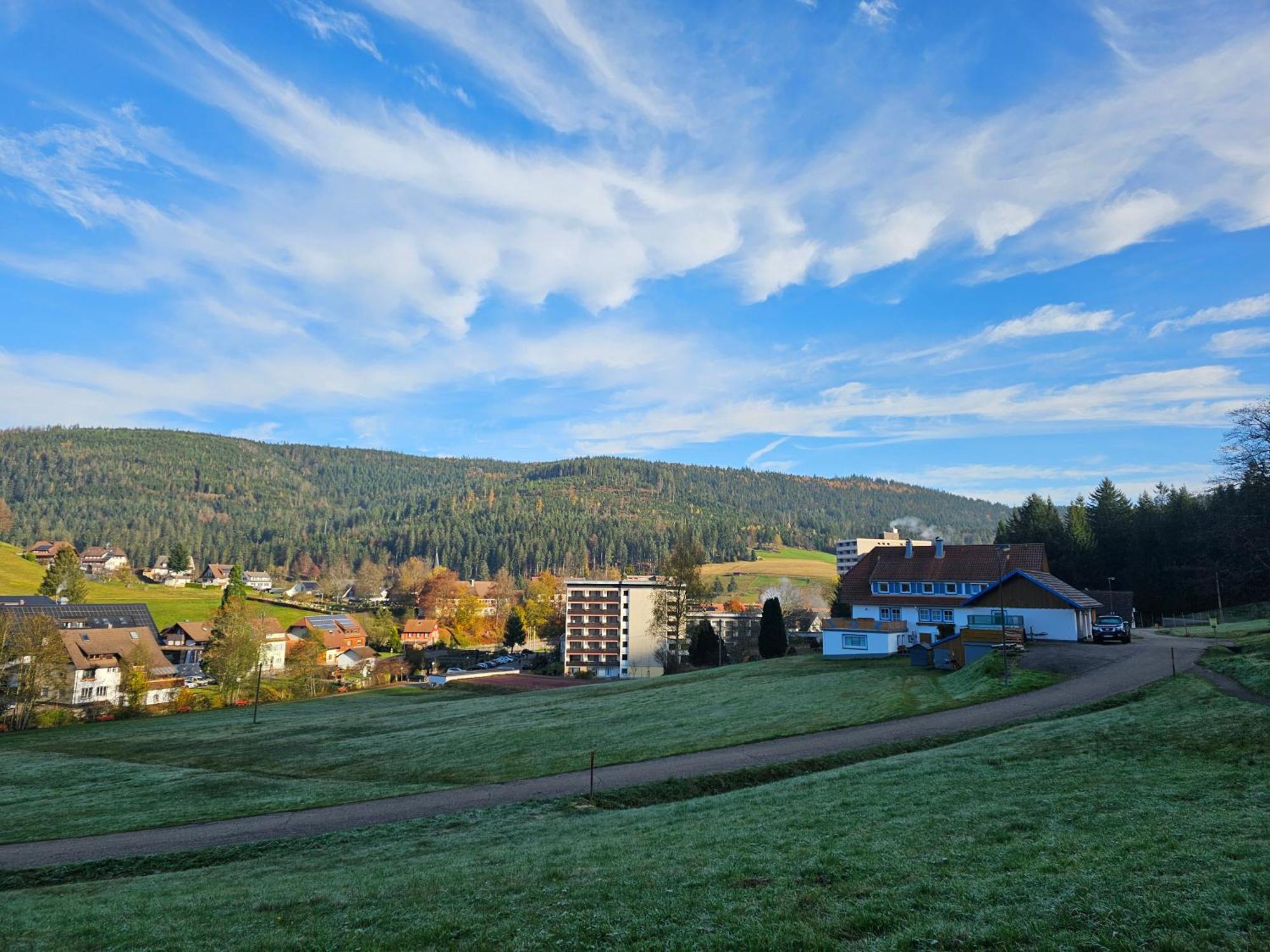 Ferienwohnung Vogelnest im Schwarzwald Baiersbronn Exterior foto